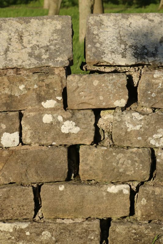 Stone Wall Repair in Flint, MI